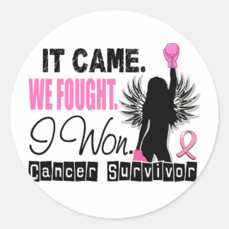 Survivor 22 Breast Cancer Classic Round Sticker