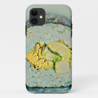 Sushi gift for food lovers