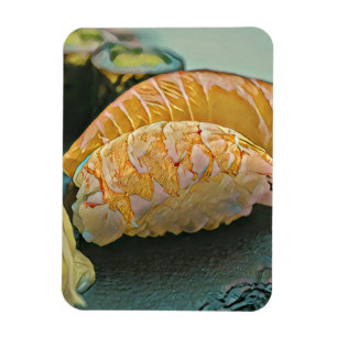 Sushi lover gift magnet