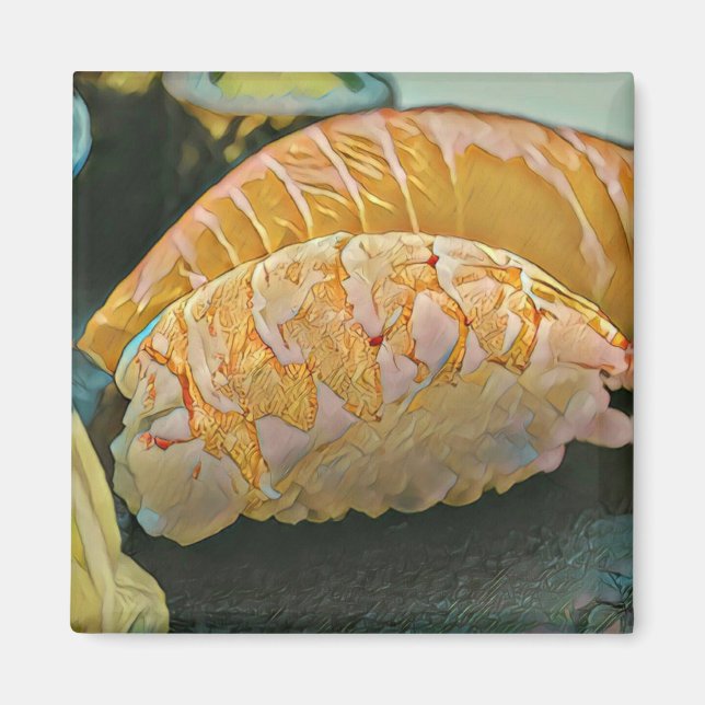 Sushi lover gift magnet (Front)