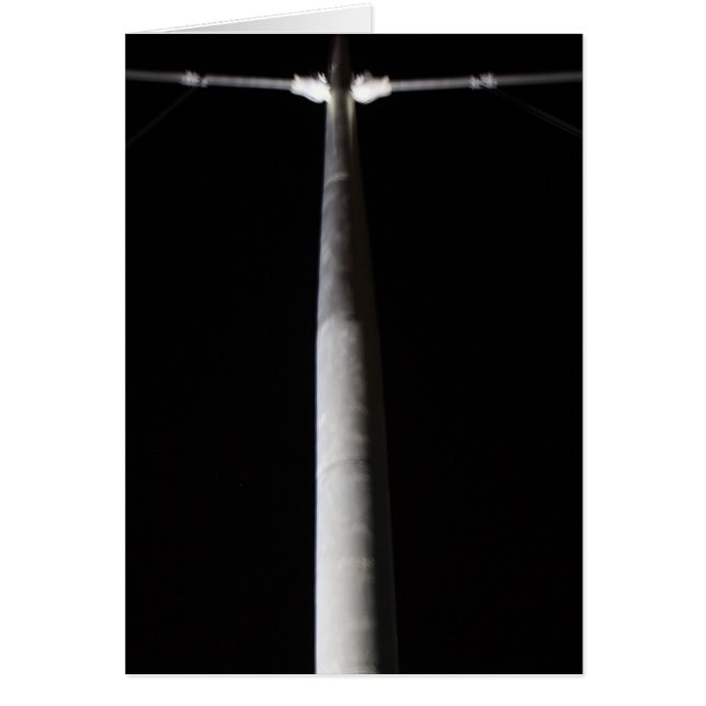 Suspension Bridge (Front)