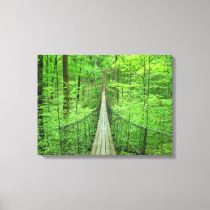 Suspension Bridge Canvas Print
