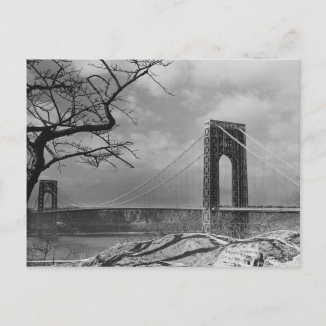 Suspension bridge view B&W Postcard (Front)