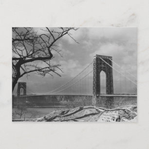 Suspension bridge view B&W Postcard