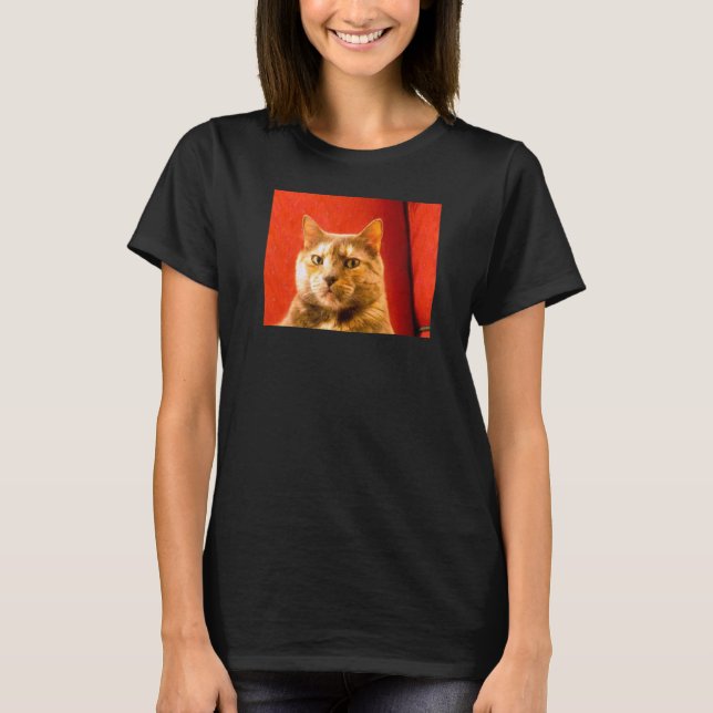 Suspicious Cat Meme T-Shirt (Front)