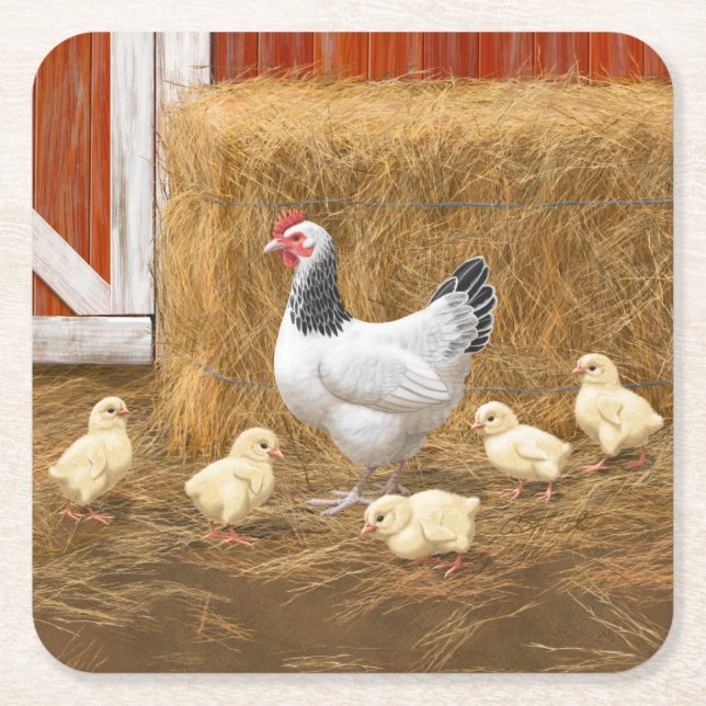 Sussex Chicken Mama Hen and Chicks Square Paper Coaster (Front)