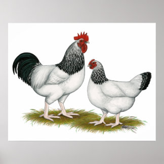 Sussex: Light Pair Poster