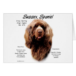 Sussex Spaniel History Design
