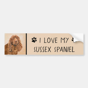 Sussex Spaniel Painting - Cute Original Dog Art Bumper Sticker