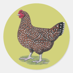 Sussex:  Speckled Hen Classic Round Sticker