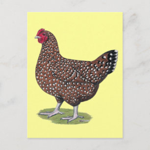Sussex: Speckled Hen Postcard