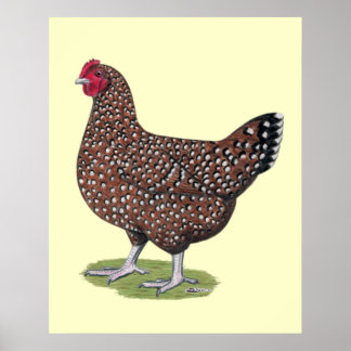 Sussex: Speckled Hen Poster