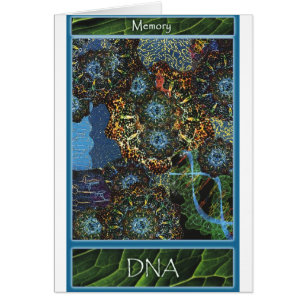 Sustain Yourself Cards: DNA