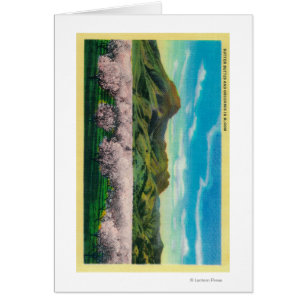 Sutter Buttes and Orchards in Bloom
