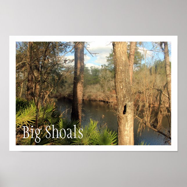 Suwanne River, Big Shoals State Park, Florida Poster (Front)
