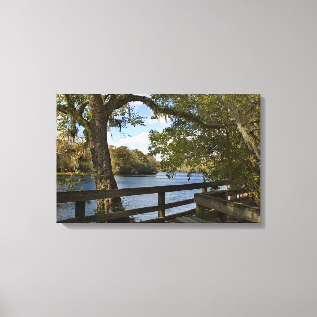 Suwannee River at Hart Springs  Canvas Print (Front)