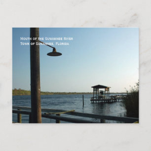 Suwannee River Dock Postcard