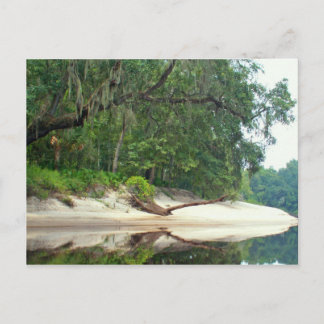 Suwannee River sandbar Postcard