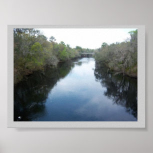 Suwannee River View Florida Poster