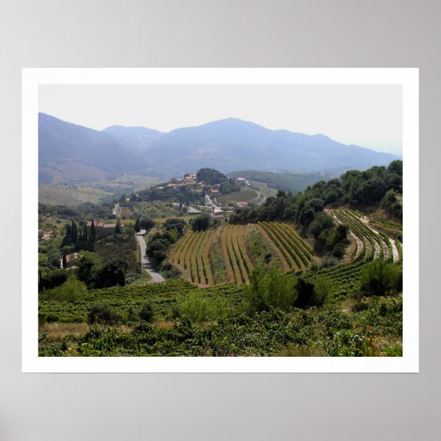 Suzette, France Poster (Front)