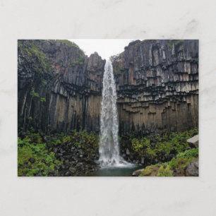 Svartifoss, Iceland Postcard