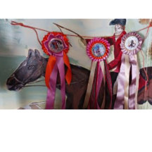 AWARD ROSETTES FOR HORSES
