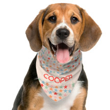 Modern Pastel Stars Pattern Dog Accessories
