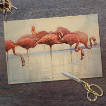 Flamingos -MPS