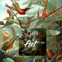 Paint & Art