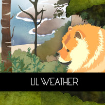 LIL WEATHER