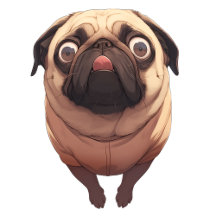 Pug Tees