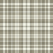 Plaid No. 67