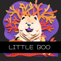 LITTLE BOO 