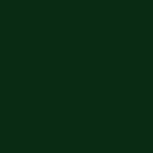 Christmas Colors 