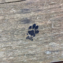 Pet Rubber Stamps