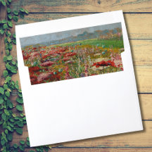 Fine Art Envelope Liner