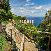 Flores