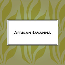 African Savanna