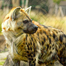Animal