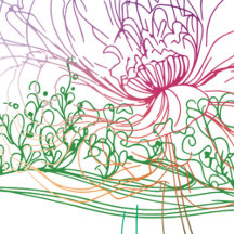 Floral Sketches