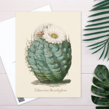 Botanical Postcards