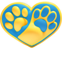 Patas dadas - Um cão feliz