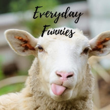 Everyday Funnies