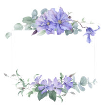 Periwinkle  Clematis Frame