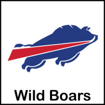Wild Boars