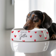 Pet accessories 