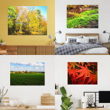 Autumn Gallery 🍂🍁