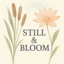 Still & Bloom