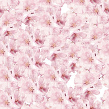 Delicate Pink Blossom Wedding Collection
