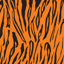 Tiger Prints
